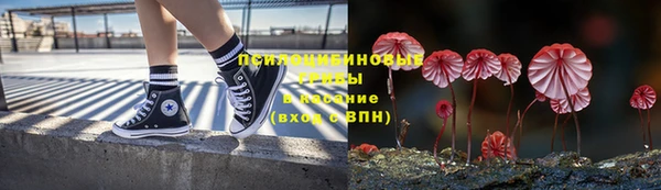 экстази Баксан